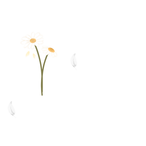 With Daisy Flower